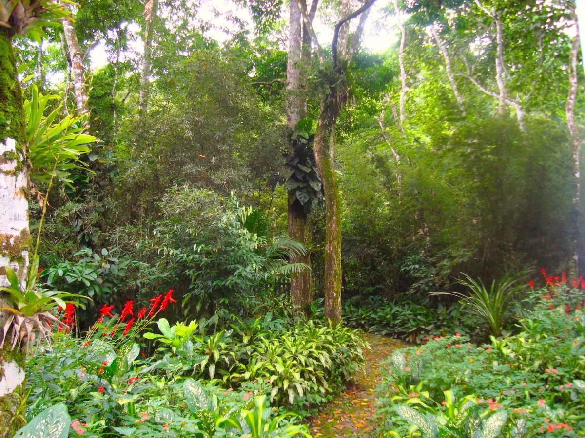 Eco-Flats Cachoeira Azul Araquari Exterior photo